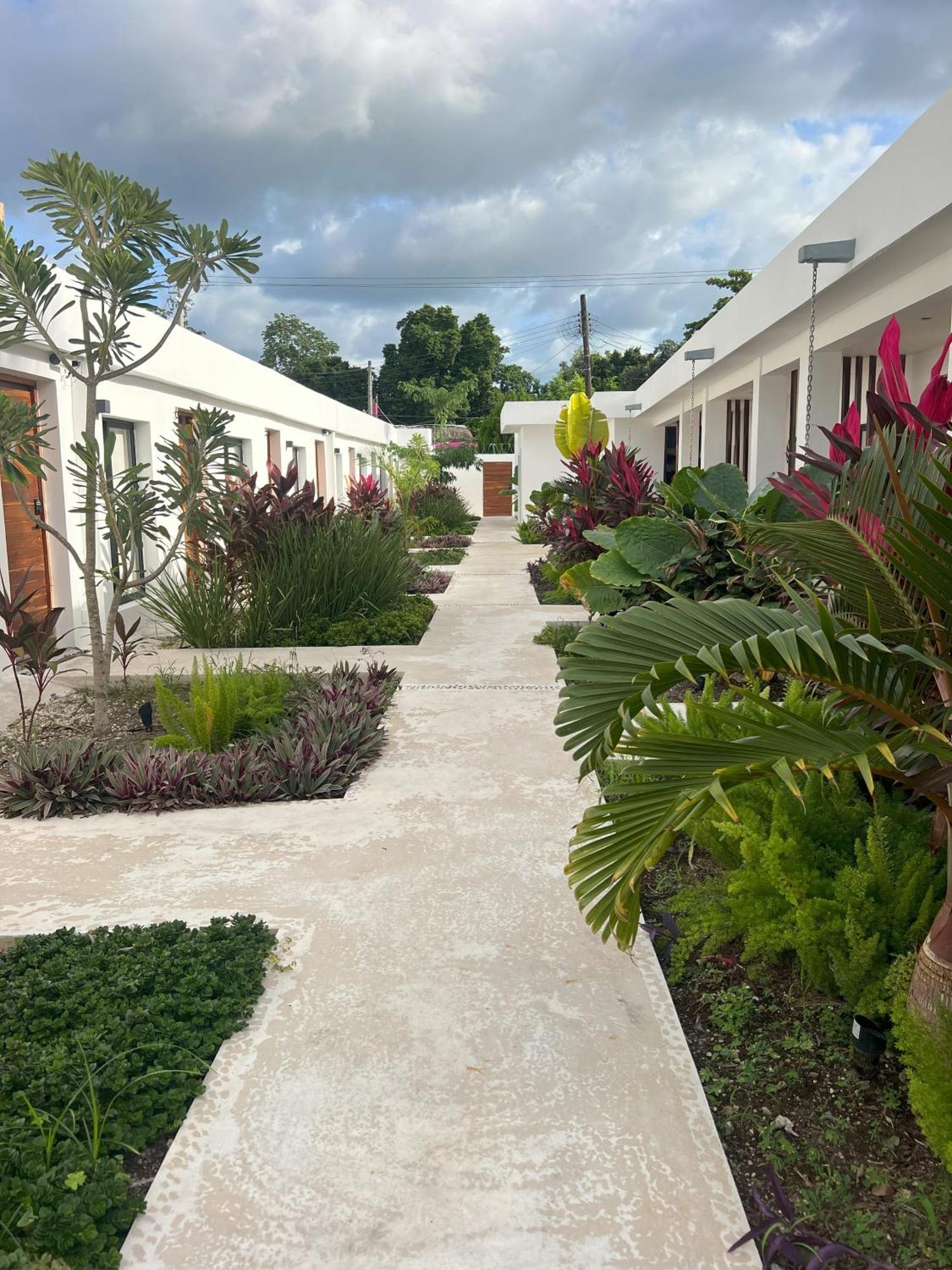 Hotel Illa Cozumel Exteriér fotografie